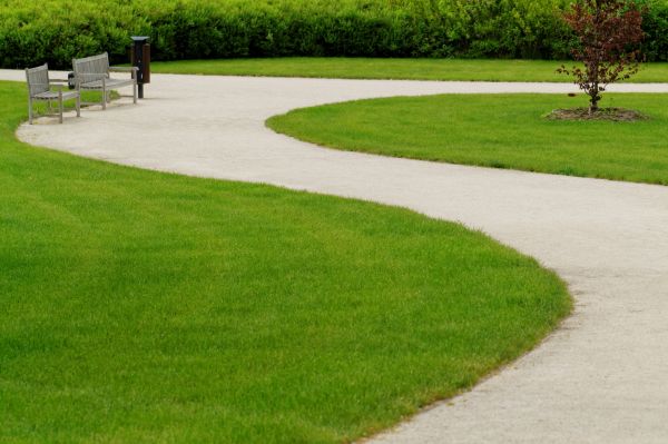 Sidewalk Concrete Service in Pasco