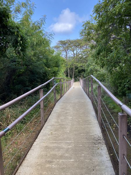Footpath Construction in Pasco