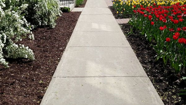 Cement Sidewalk Installation in Pasco