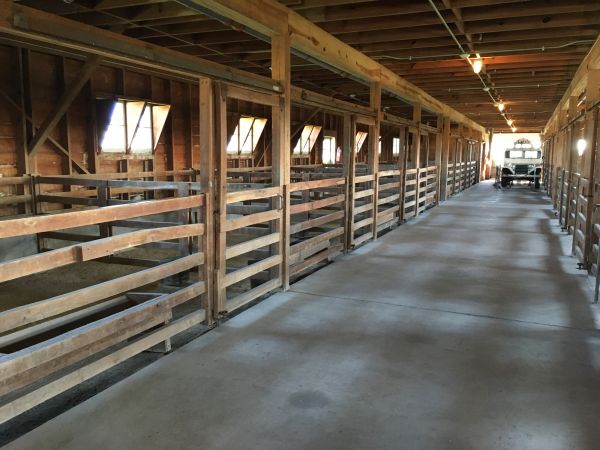 Barn Floor Pouring in Pasco