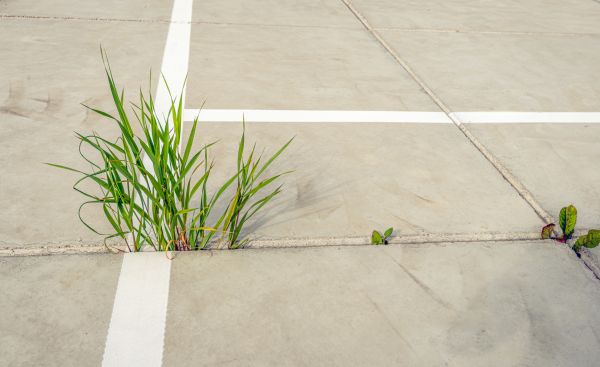 Concrete Parking Installation in Pasco