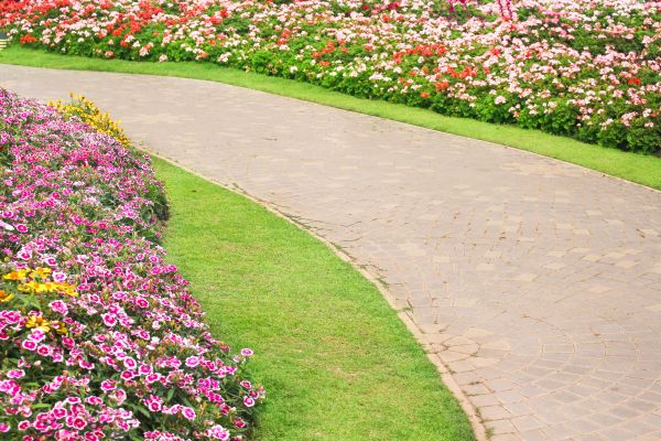 Concrete Walkway Service in Pasco